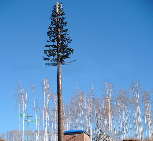 �����������MS-F9